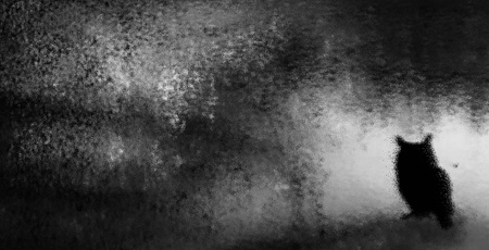 Margaret Noble: Drift