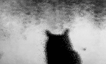 Curator Conversations: Drift